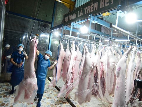 Trung Quốc "ùn ùn" nhập thịt lợn