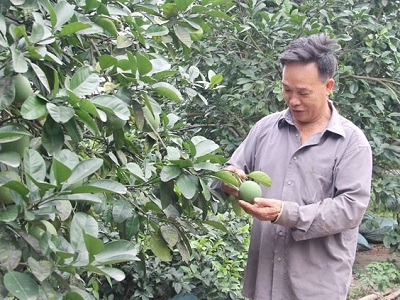 Người thương binh giàu nghị lực