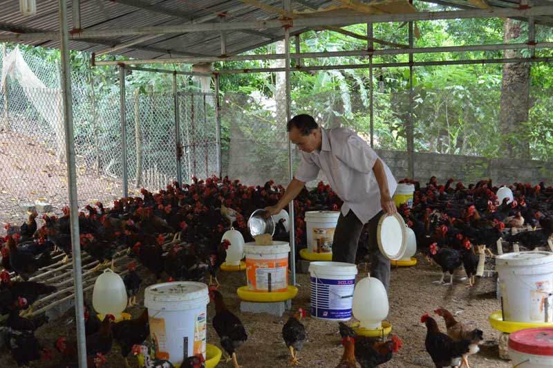 Thương binh giỏi trong Thương trường