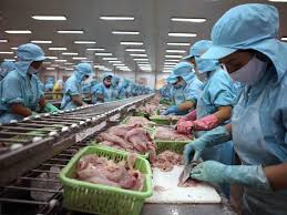 Thẩm định, xếp loại 231 cơ sở sản xuất, kinh doanh, chế biến nông, lâm, thủy sản