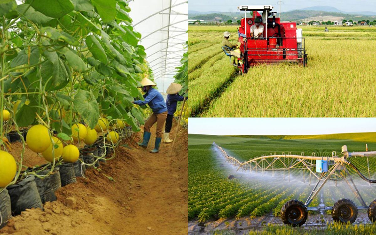 phan dau den nam 2030 ca nuoc co tren 5000 hop tac xa ung dung cong nghe cao