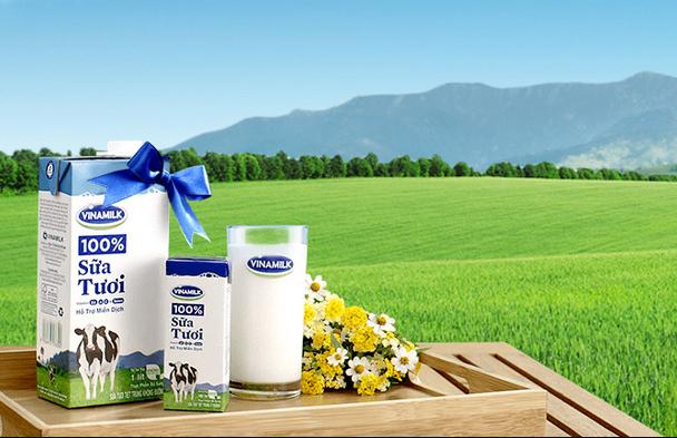 Vinamilk dẫn đầu tại Việt Nam và thuộc top ASEAN về quản trị công ty