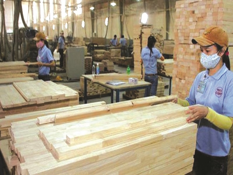 Tăng hiệu quả thực thi pháp luật về gỗ