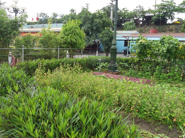 Nơi nuôi dưỡng tình yêu môi trường