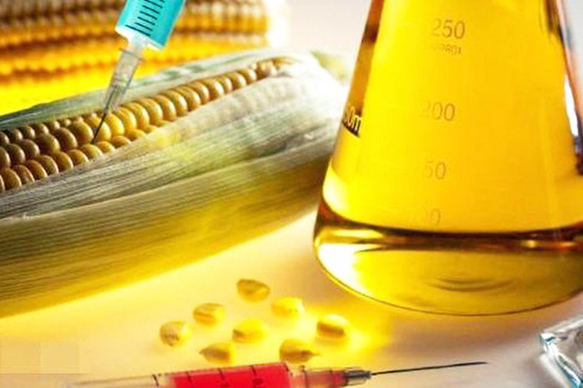 Điều tra chống bán phá giá đường lỏng từ Trung Quốc và Hàn Quốc