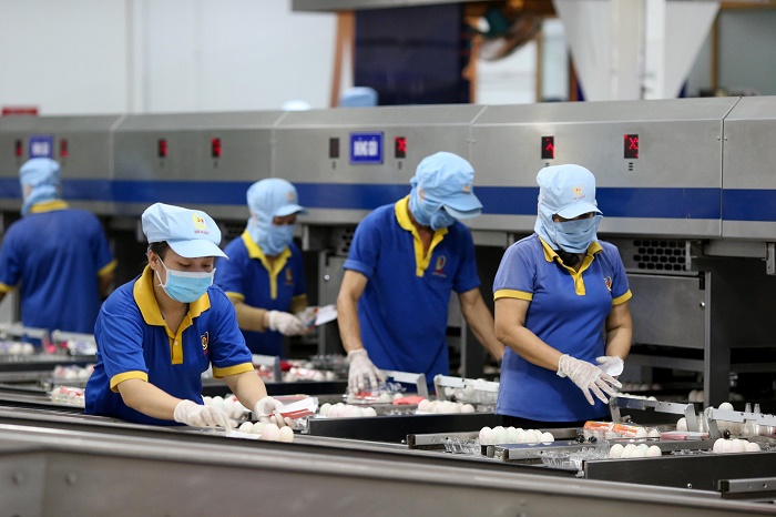 TP.HCM còn thiếu khoảng 147.000 lao động từ nay đến cuối năm