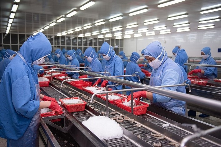 70% doanh nghiệp thủy sản đóng cửa vì không đủ điều kiện thực hiện "3 tại chỗ"