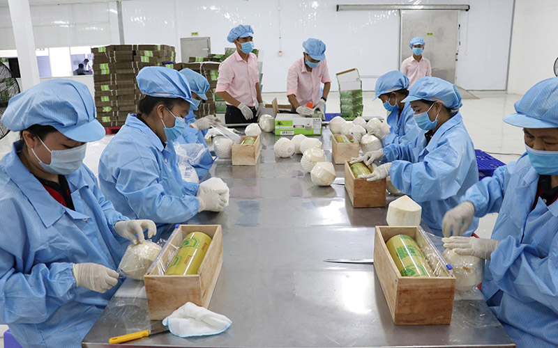 Xuất khẩu nông sản: Vượt thách thức để tăng trưởng ấn tượng