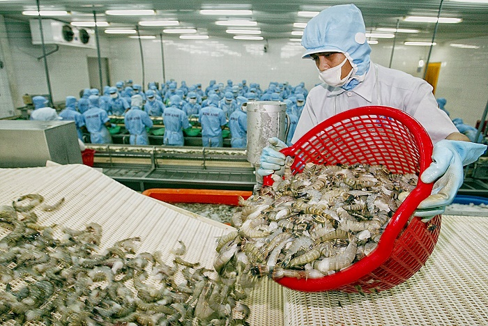 Nhiều dư địa xuất khẩu thủy sản sang EU trong những tháng cuối năm