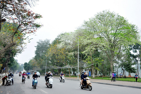 Nao lòng với một Hà Nội đẹp dịu dàng các mùa hoa tháng 3