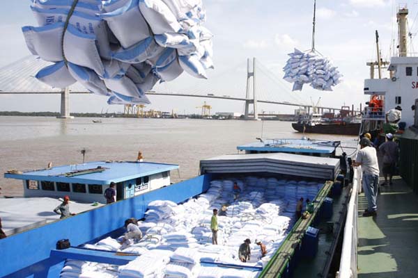 Phấn đấu xuất khẩu 6,5 triệu tấn gạo