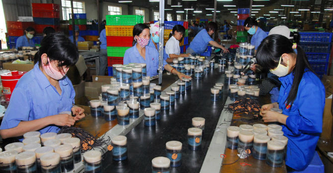 Mở rộng mạng lưới hỗ trợ tài chính cho doanh nghiệp