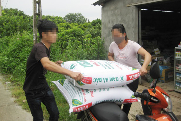 Một phận đời tự hồi sinh