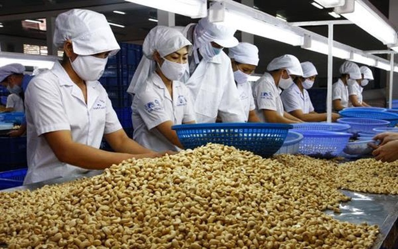 Khơi "dòng chảy" nguyên liệu và chuỗi giá trị để tạo bứt phá cho ngành điều - Ảnh 3.