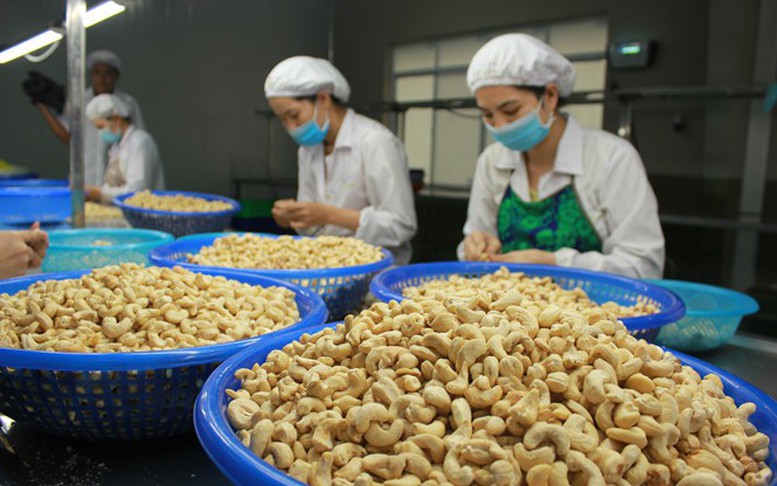 Khơi "dòng chảy" nguyên liệu và chuỗi giá trị để tạo bứt phá cho ngành điều - Ảnh 4.