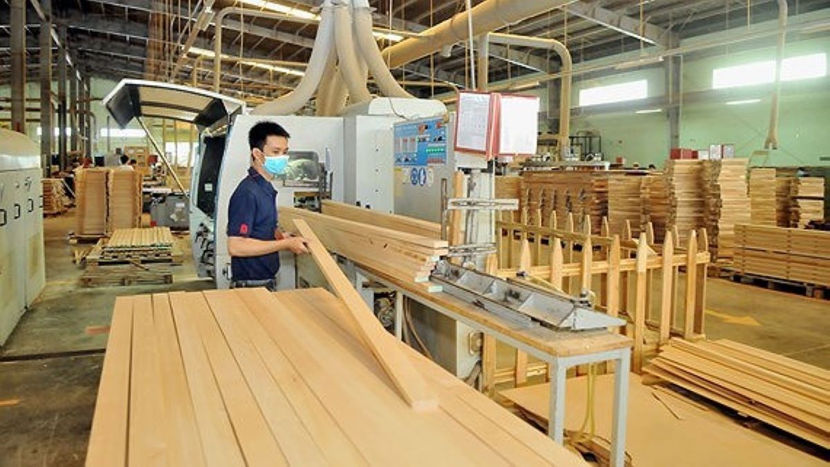 Thị trường gỗ nội địa cần một "luật chơi" minh bạch- Ảnh 1.