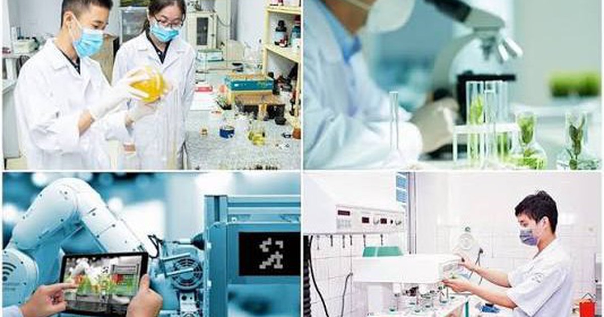 Bộ Khoa học và Công nghệ đề xuất bãi bỏ toàn bộ 26 văn bản quy phạm pháp luật