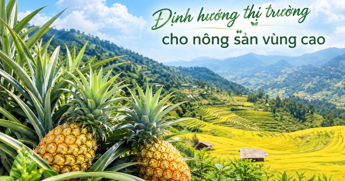 Định hướng thị trường cho nông sản vùng cao