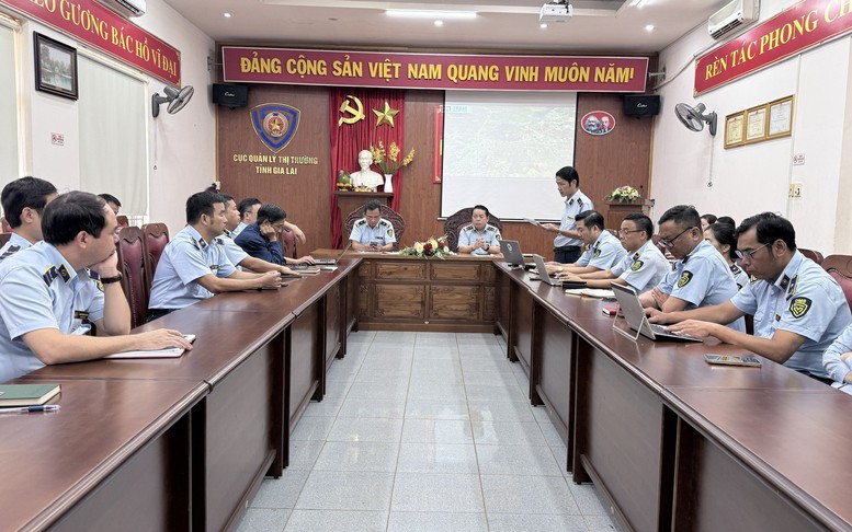 Từ đường băng thứ hai tại Sân bay Phù Cát đến cơ hội phát triển du lịch Gia Lai - Ảnh 5.