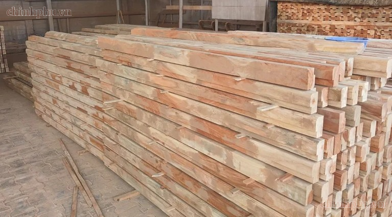 Nâng tầm chuỗi giá trị gỗ keo: Doanh nghiệp đề xuất giải pháp vượt 