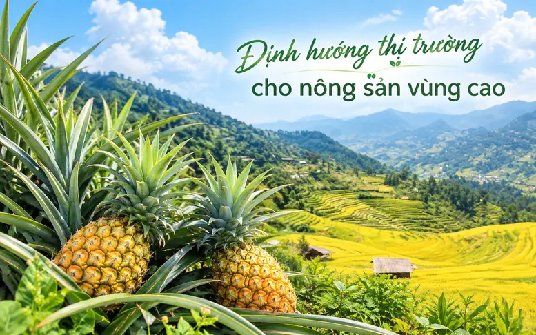 Xuất khẩu rau quả tăng tốc, siết chuẩn để giữ thị trường - Ảnh 2.