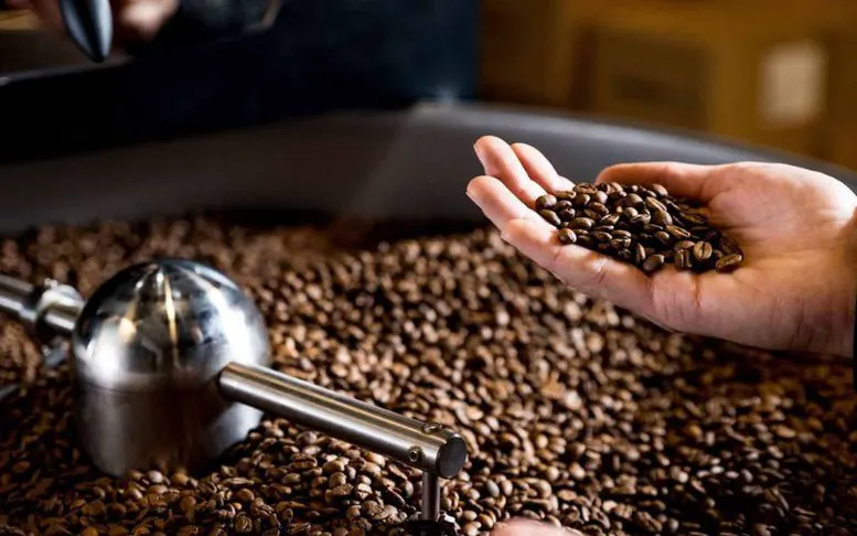 Cà phê Việt chủ động hợp tác, đưa thương hiệu ra thế giới - Ảnh 2.