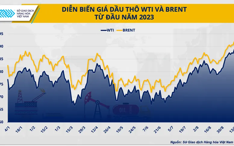 Chuyên gia khuyến nghị doanh nghiệp các giải pháp ứng phó biến động  - Ảnh 6.