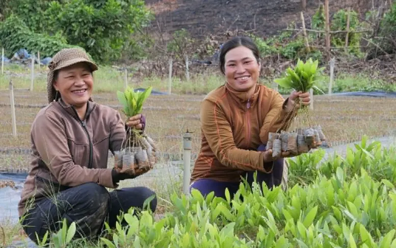 Xuất khẩu rau quả tăng tốc, siết chuẩn để giữ thị trường - Ảnh 4.