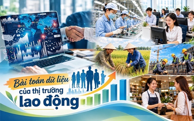 Bài toán dữ liệu của thị trường lao động