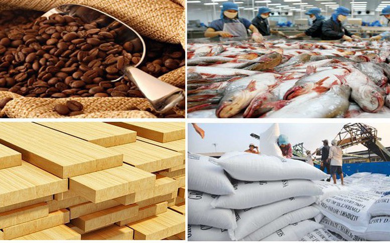 Khơi "dòng chảy" nguyên liệu và chuỗi giá trị để tạo bứt phá cho ngành điều - Ảnh 2.