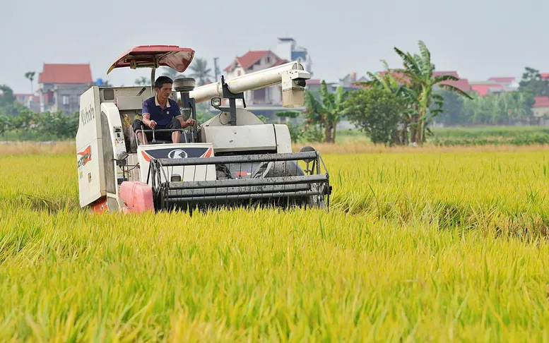 Truy xuất nguồn gốc hàng hóa: Công cụ bảo vệ người tiêu dùng và doanh nghiệp - Ảnh 7.