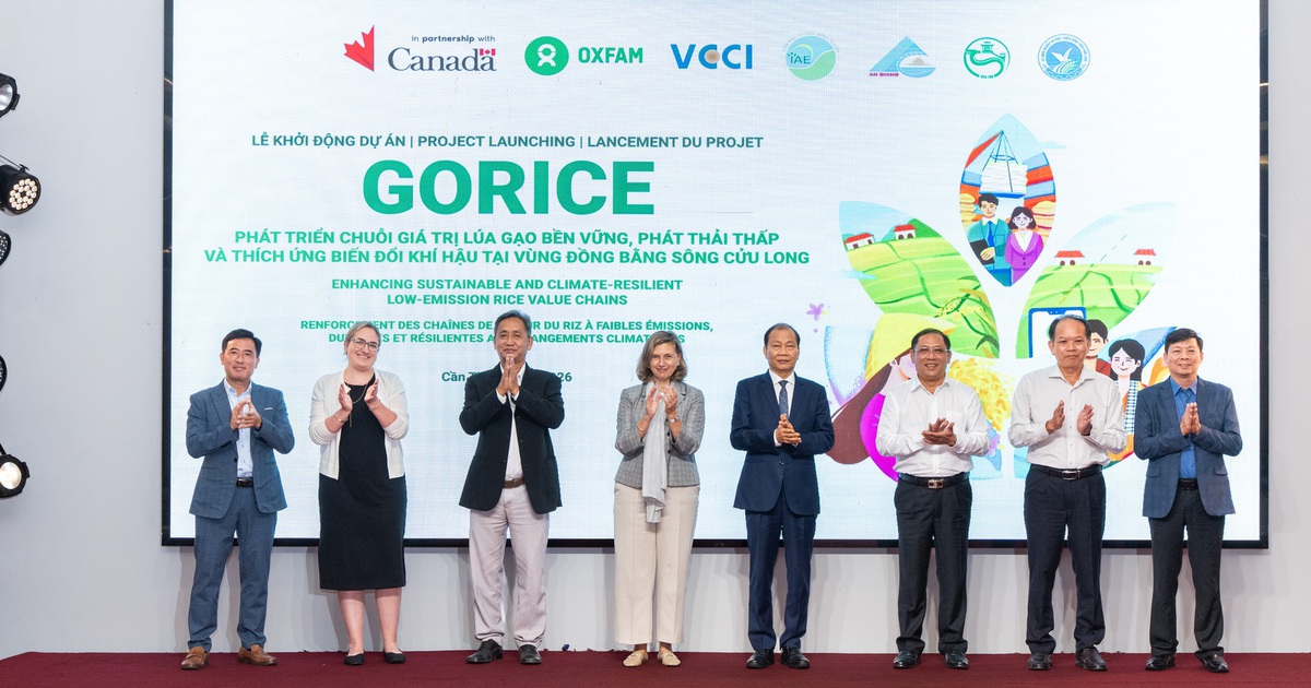 Canada hỗ trợ ĐBSCL phát triển lúa gạo phát thải thấp, 48.200 người dự kiến hưởng lợi